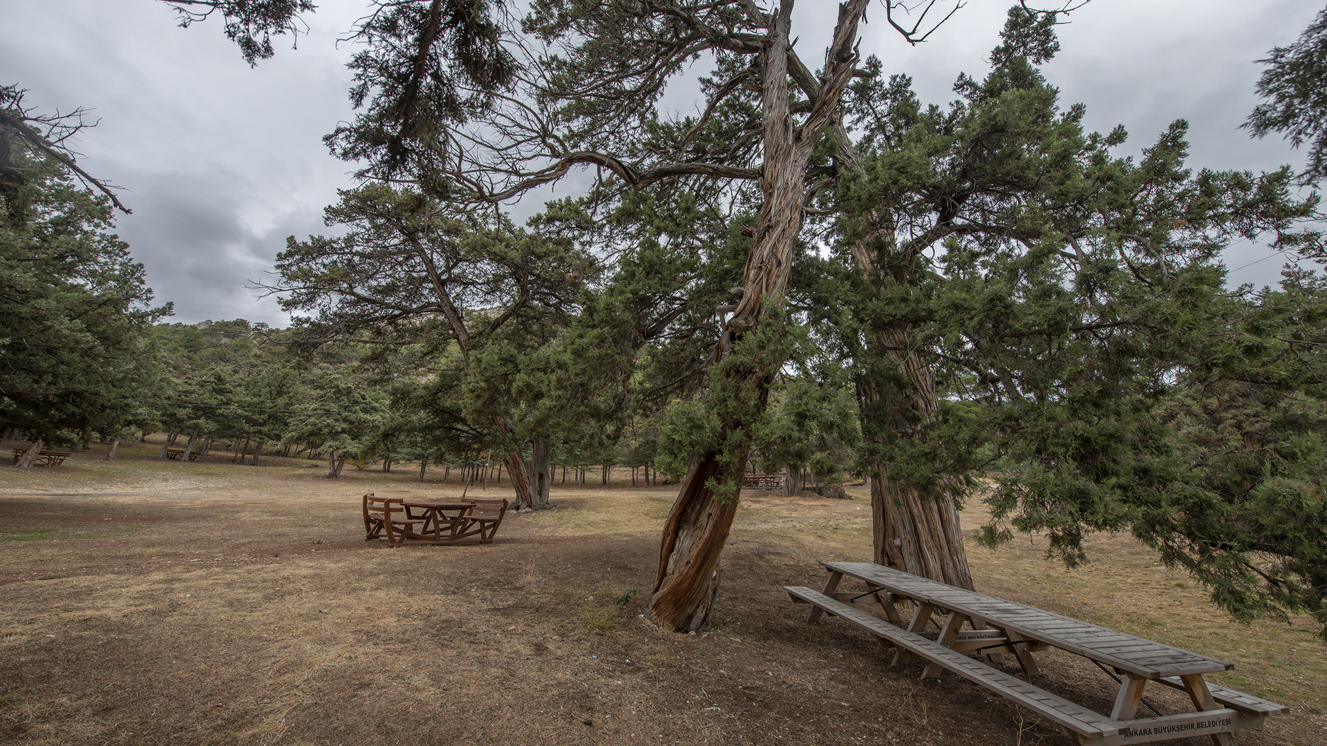 Hoşebe Karavan Alanı