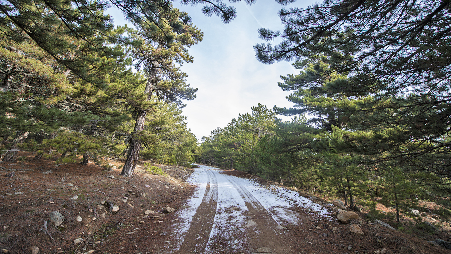 Tekkedağı Tabiat Parkı