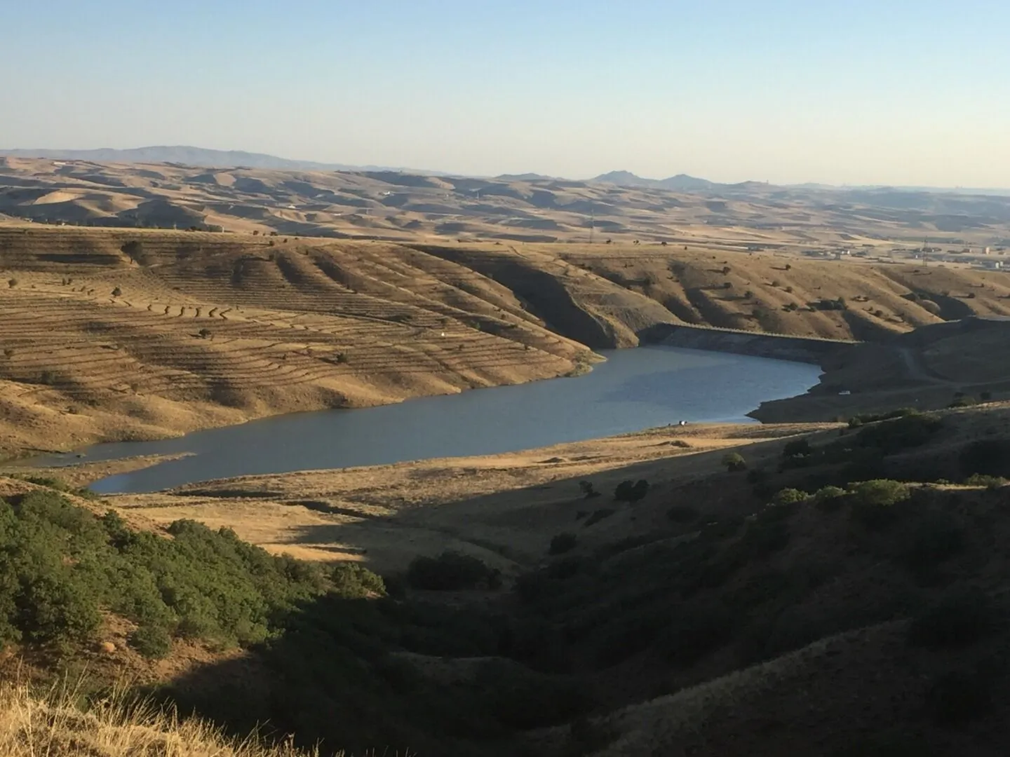 Yaşlı Ardıç Göleti