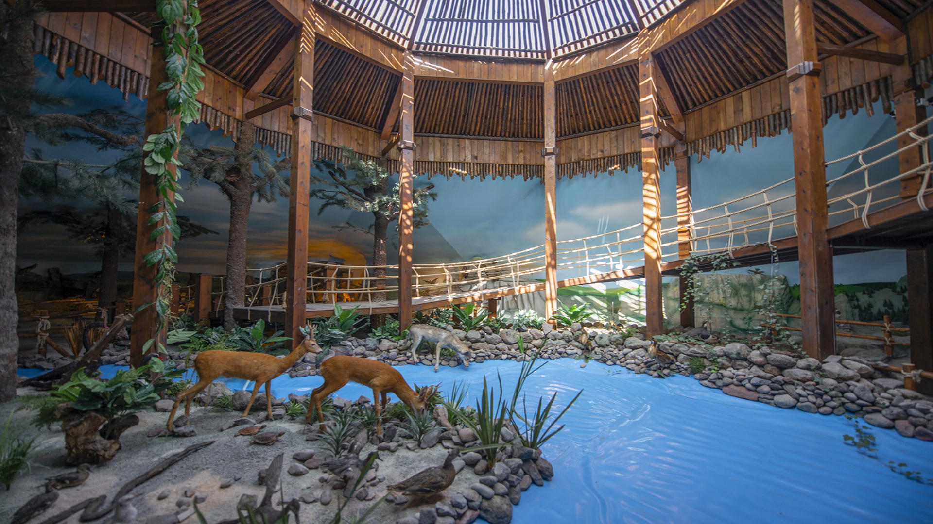 Doğa ve Hayvan Müzesi