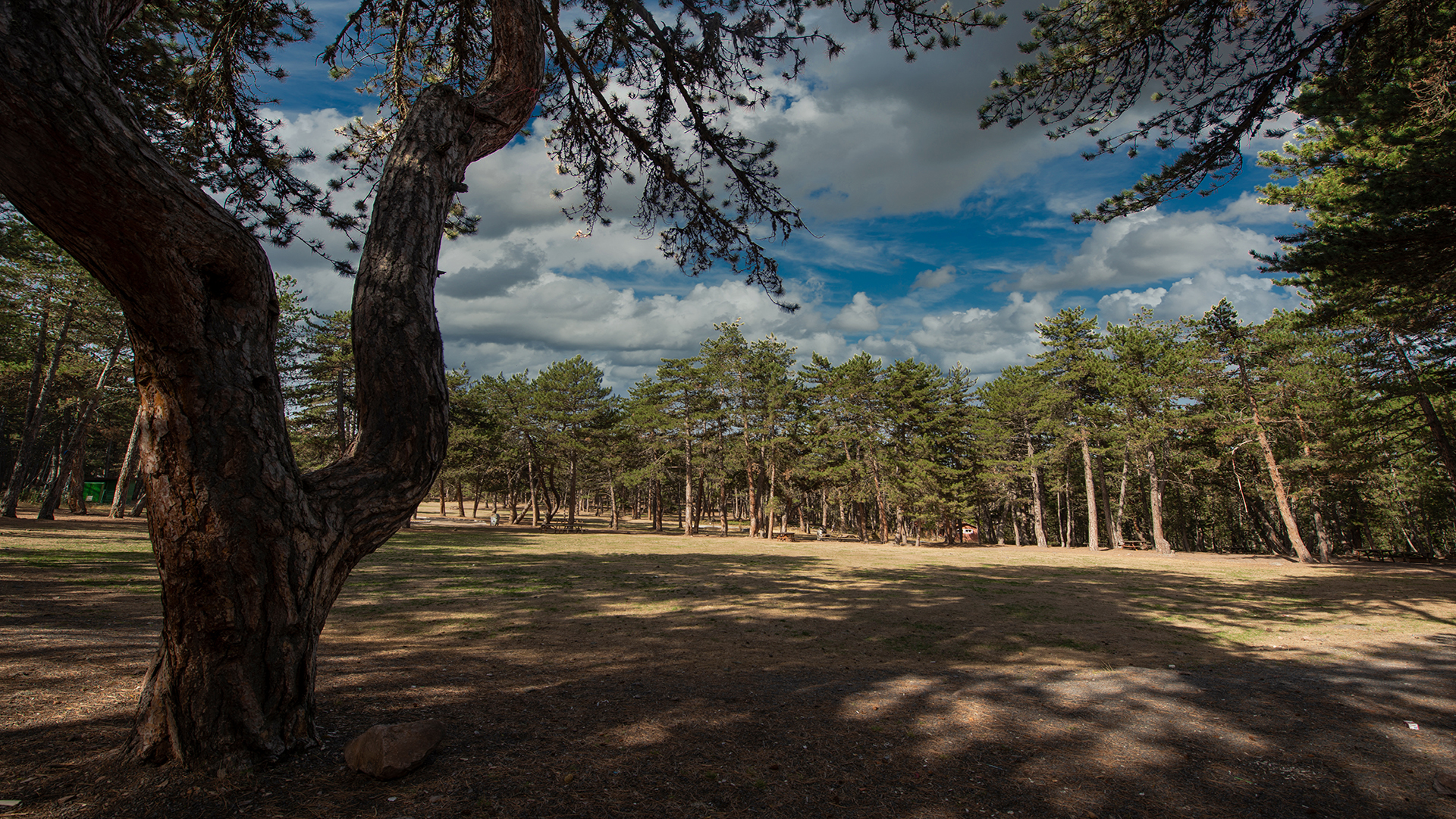 Aluçdağı Tabiat Parkı