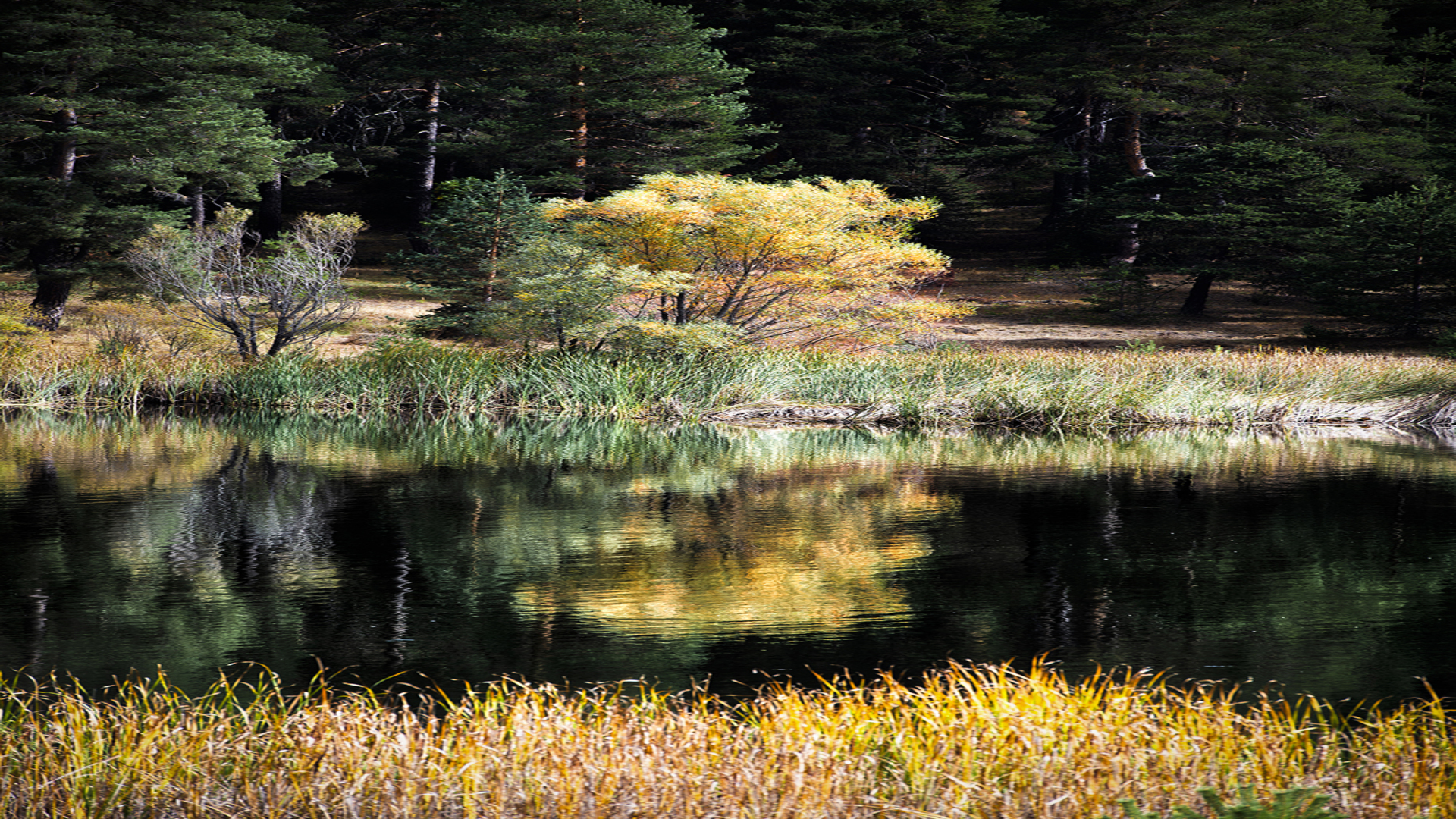 Çamkoru Tabiat Parkı