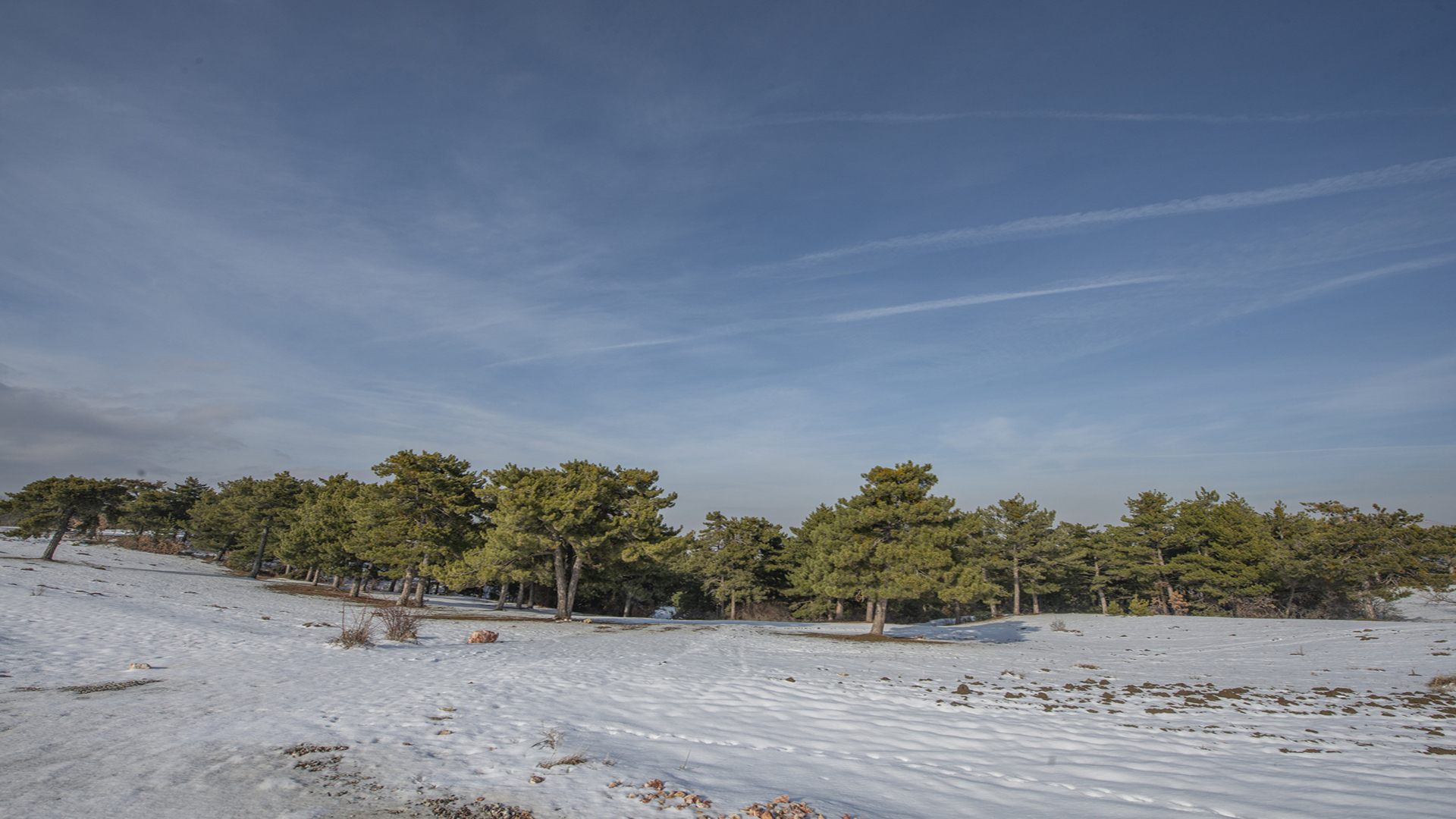 Güzelyurt Mesire Alanı