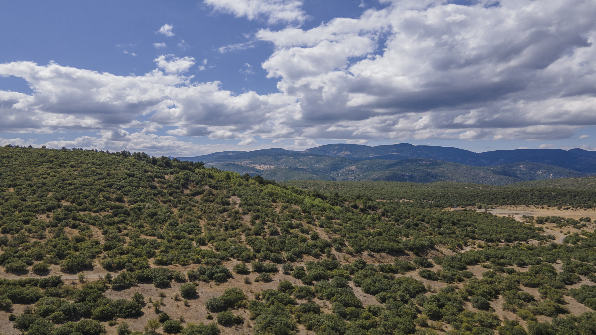 Kartaltepe Tabiat Parkı
