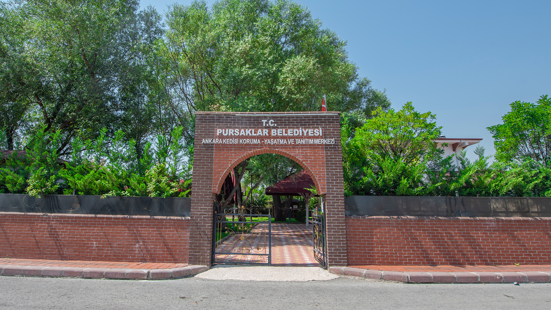 Ankara Kedisi Yaşatma ve Tanıtma Merkezi