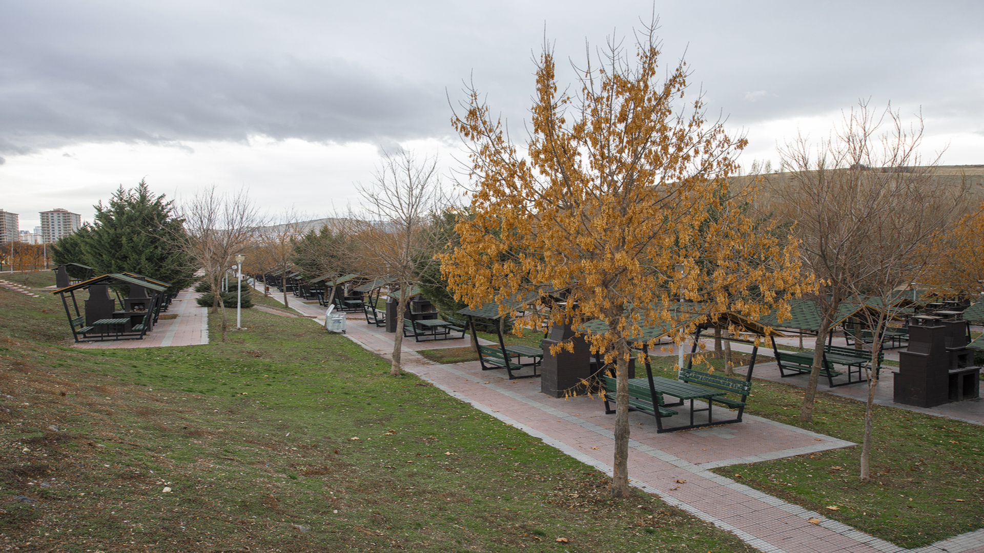 Yakacık Mesire Alanı