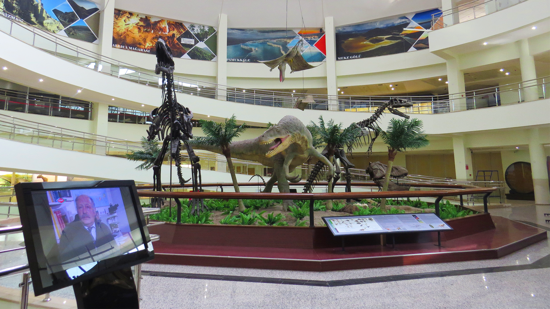 MTA Şehit Cuma Dağ Tabiat Tarihi Müzesi