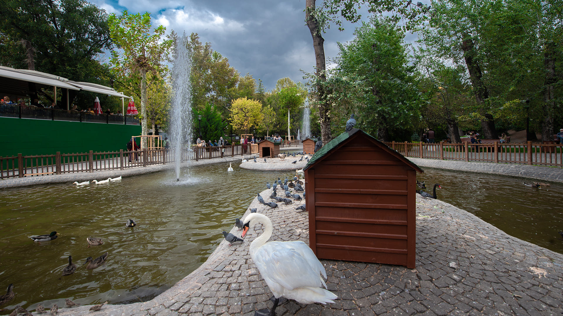 Kuğulu Park