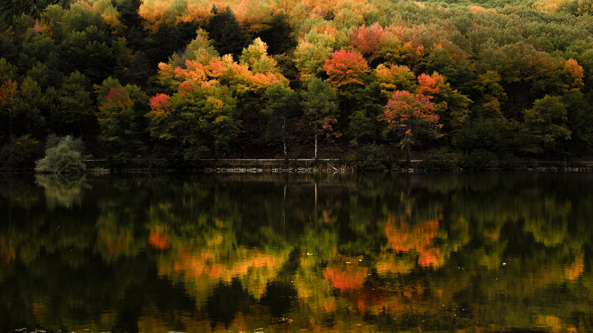 Çubuk Karagöl Tabiat Parkı